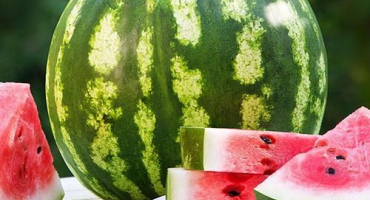 Jak lahodně zmrazit meloun na zimu doma a je to možné